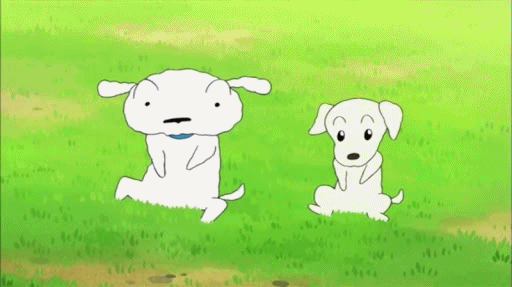 16169769838413.gif