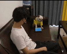 16179283272025.gif