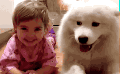 16256502790227.gif