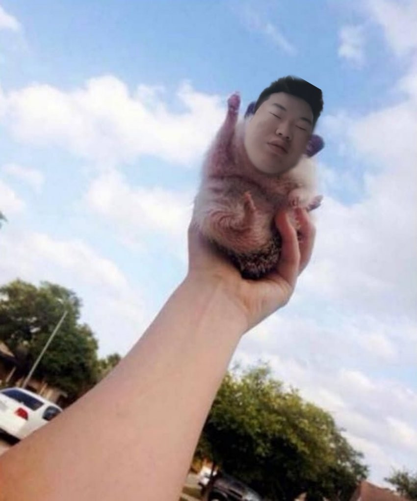 16266942768639.jpg
