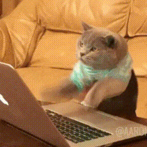 1628206292254.gif