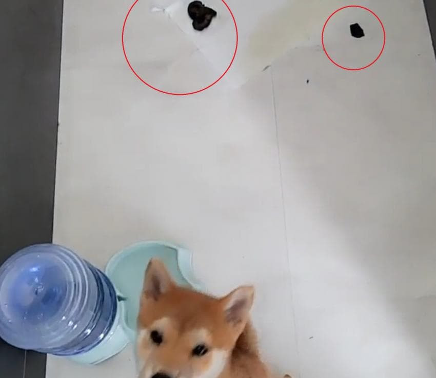 16285878713859.jpg