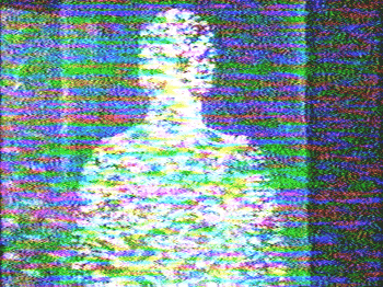1630495883337.gif