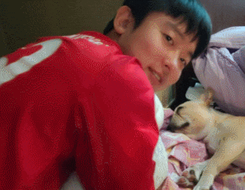 16402194682332.gif