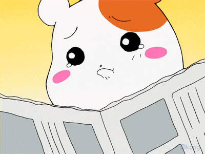 16454970800557.gif