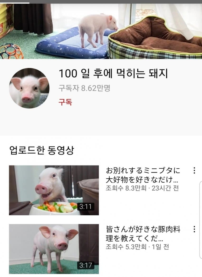 16304556820854.jpg